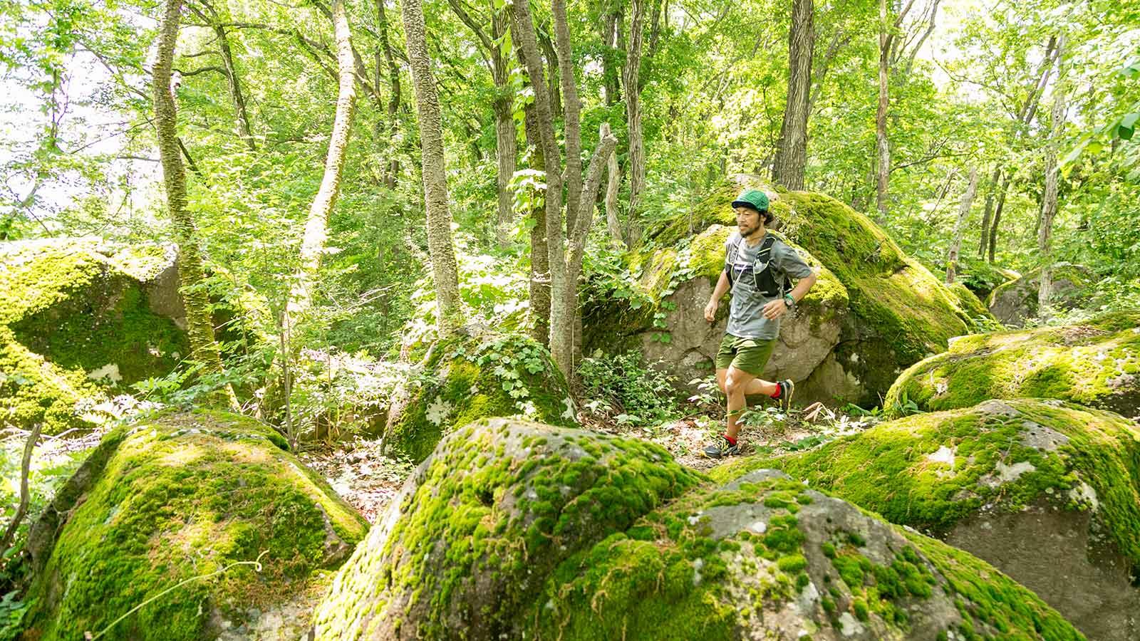雑誌連載 Tarzan Trails［山梨・ほったらかし温泉］トレイル GPSデータ（721号）