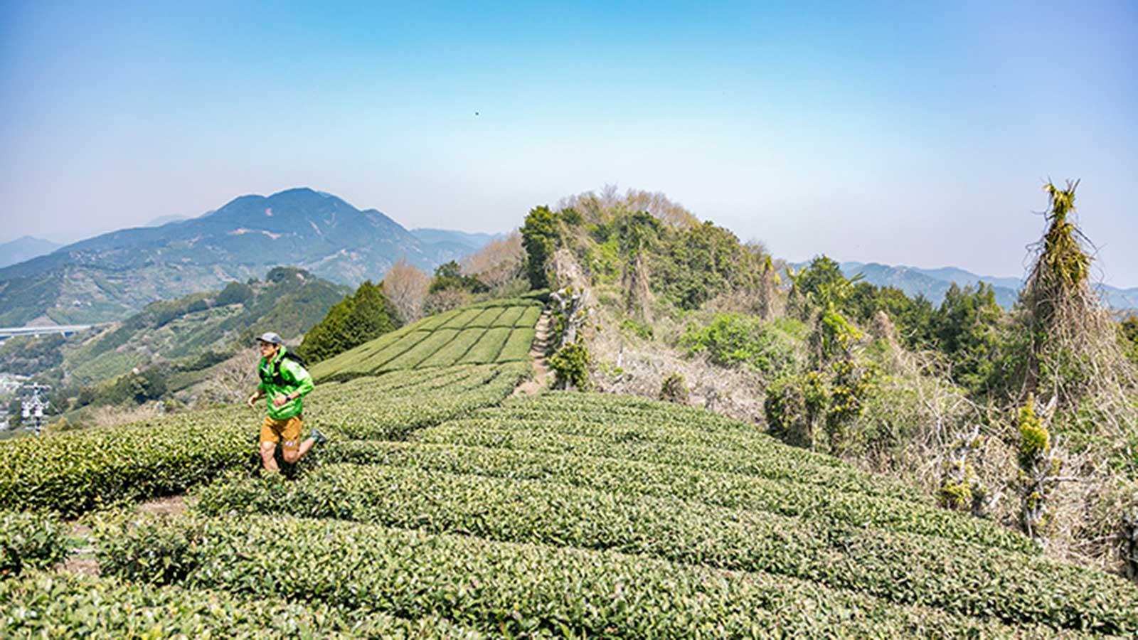 雑誌連載 Tarzan Trails［静岡・賤機山］トレイル GPSデータ（741号）