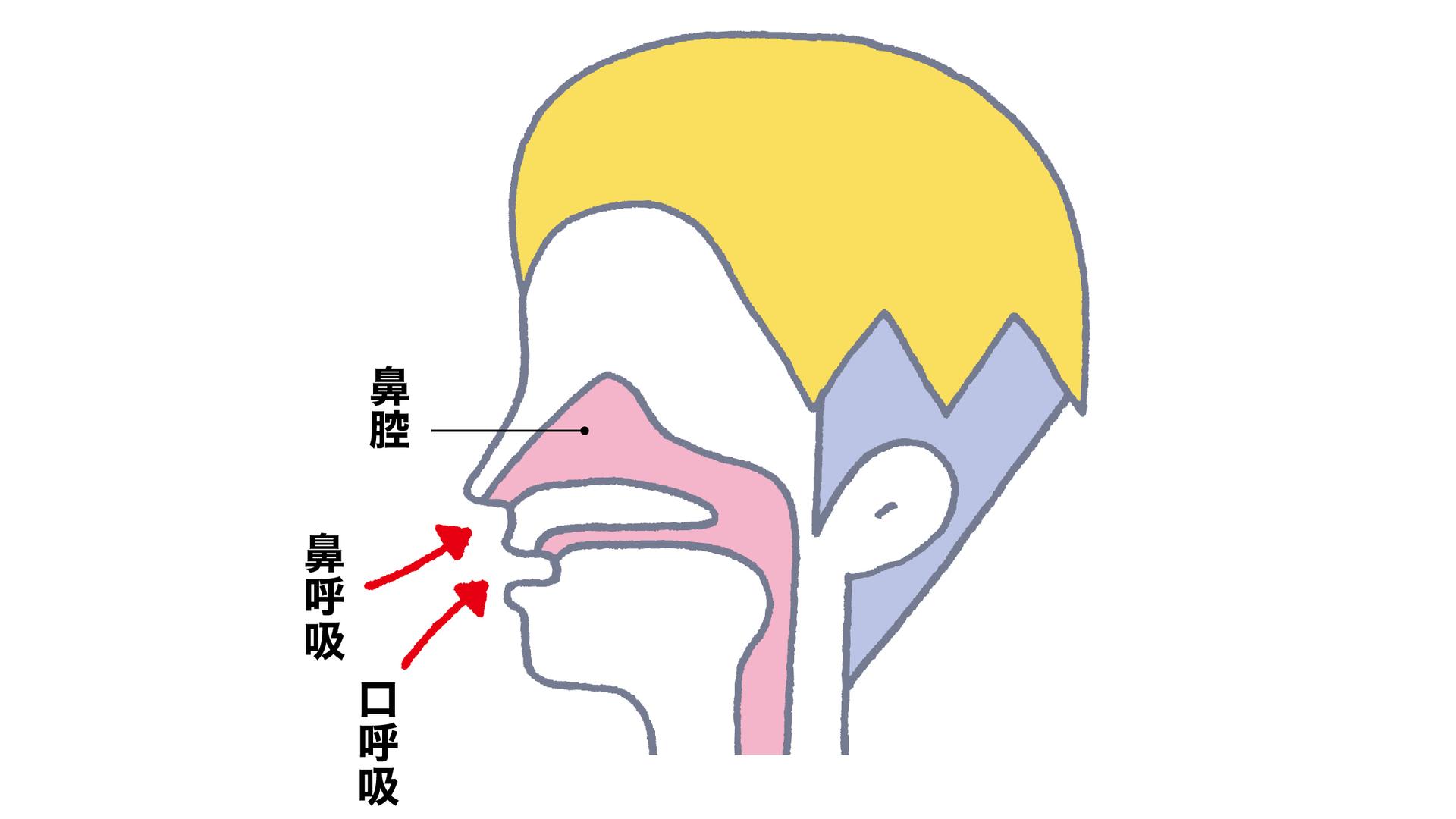 真冬の空気で肺にダメージ!? 今すぐ口呼吸をやめるべき決定的理由