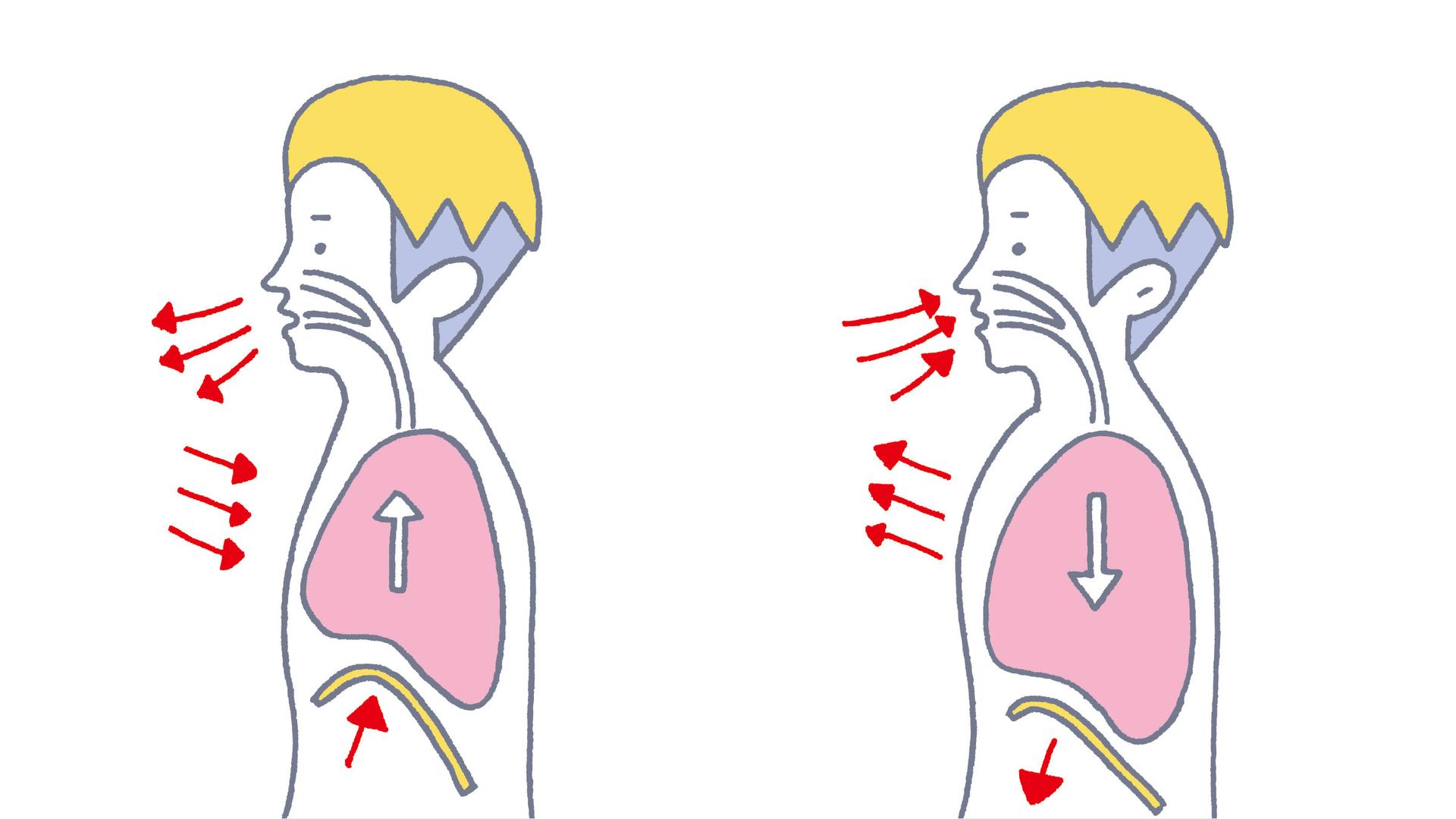 腹式呼吸と胸式呼吸、どっちがいい？ 緊張したときこそ正しい呼吸でリラックス！