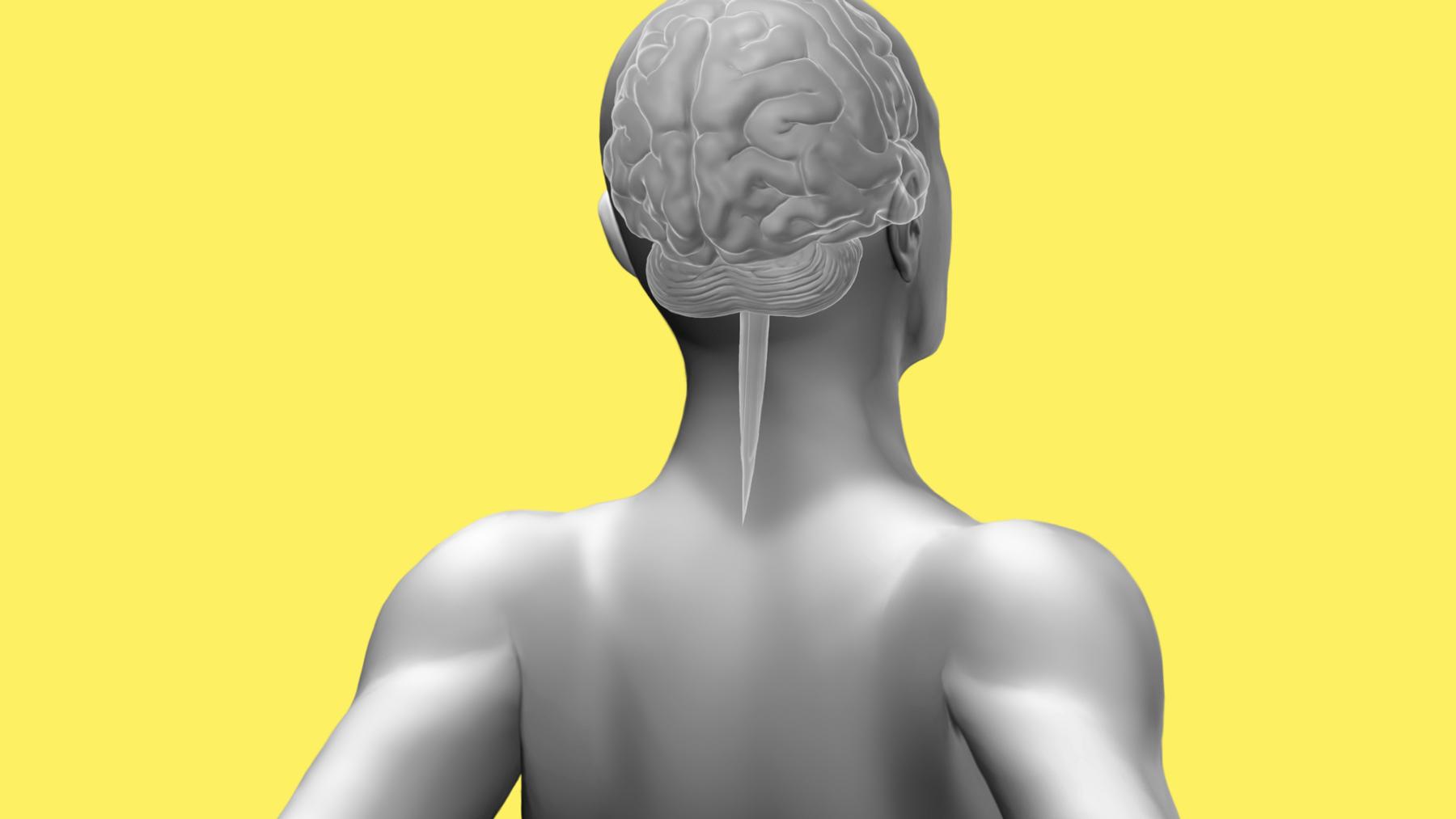 続・脳の「やってはいけない！」4つのこと