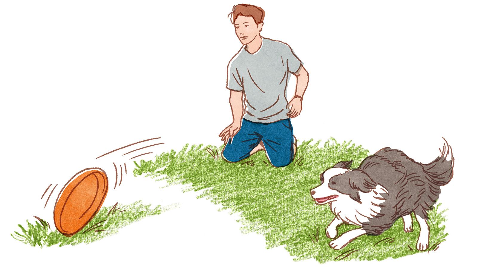 まずは犬をディスクに慣れさせよう！｜楽しいディスクドッグ入門