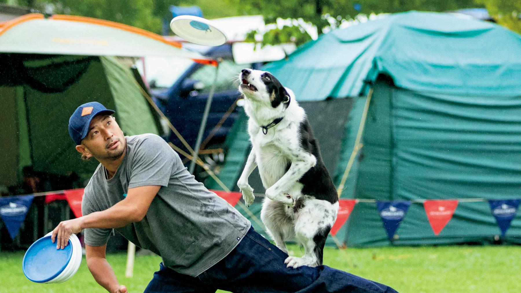 犬より人の運動になる!? 楽しくて、やがて体力もつくディスクドッグ入門