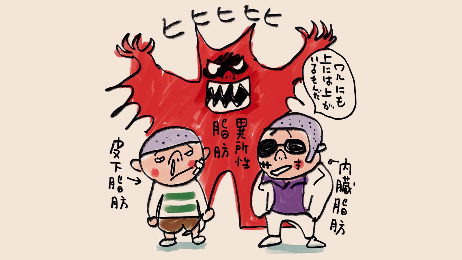 同じ体脂肪でもこんなに違う。皮下・内臓・異所、一番のワルな脂肪はコレだ！