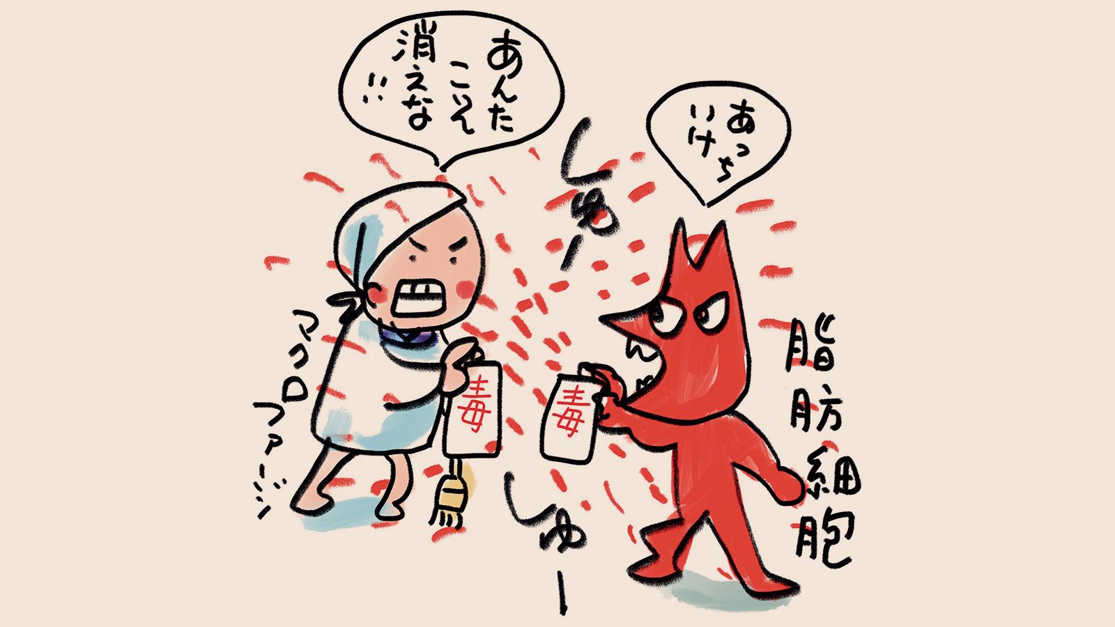 太った人の脂肪組織は炎上している!? ちょっと難しいけど知っておきたい“脂肪で炎症が起こるワケ”