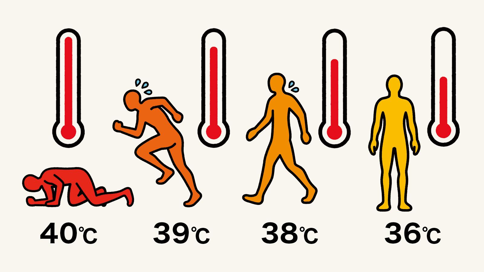 暑さに強くなれば、熱中症にもかかりにくくなる。そのために知っておきたいこと、やっておきたいこと