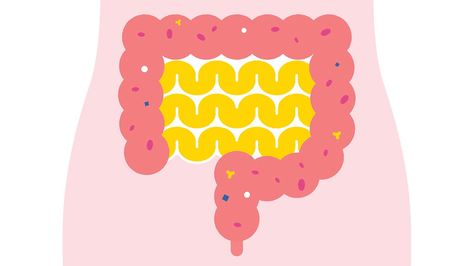 特集は「腸トレ」。8月29日（木）発売の雑誌『Tarzan』（No.771）