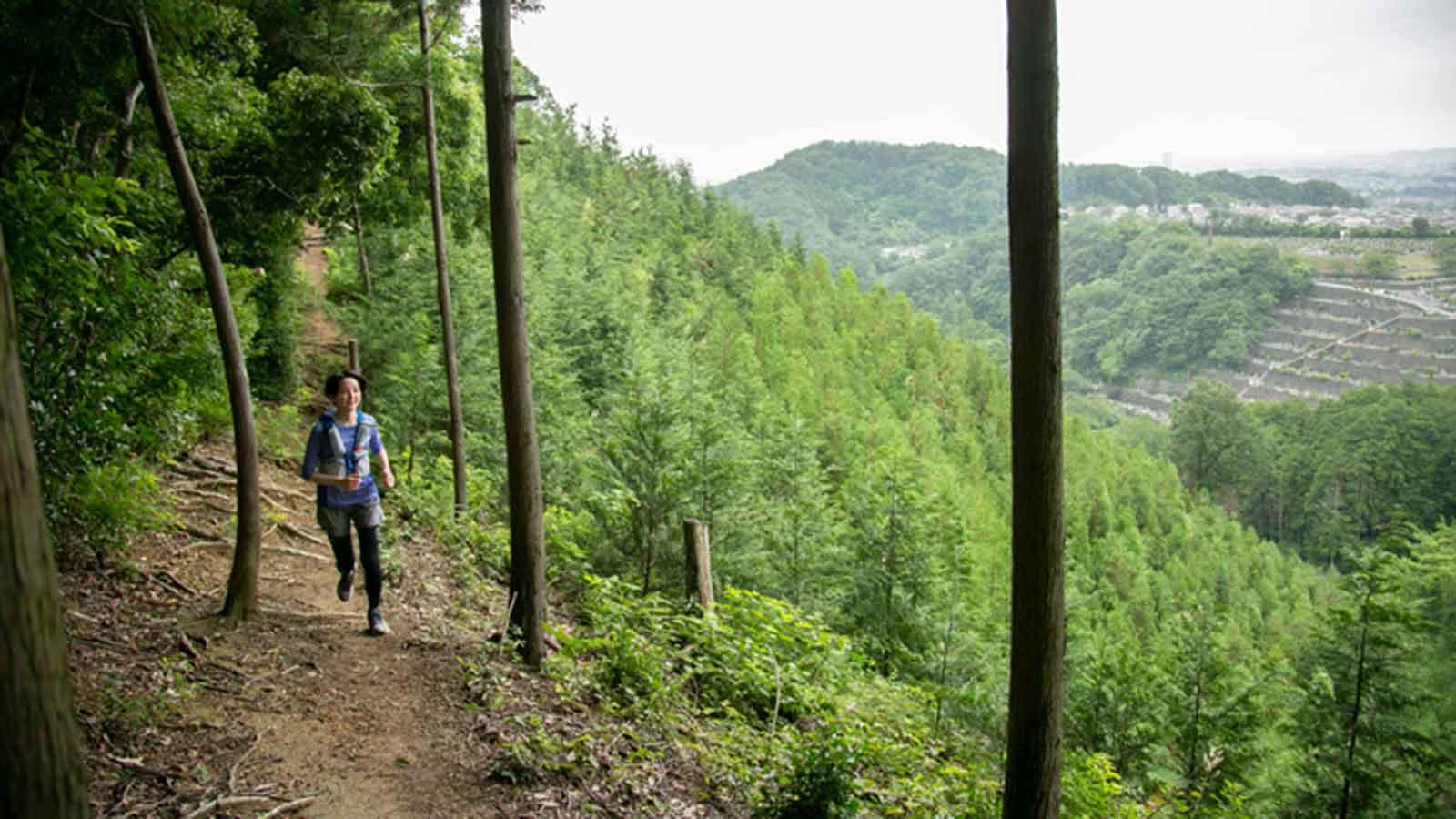雑誌連載 Tarzan Trails［南高尾山］トレイル GPSデータ（772号）
