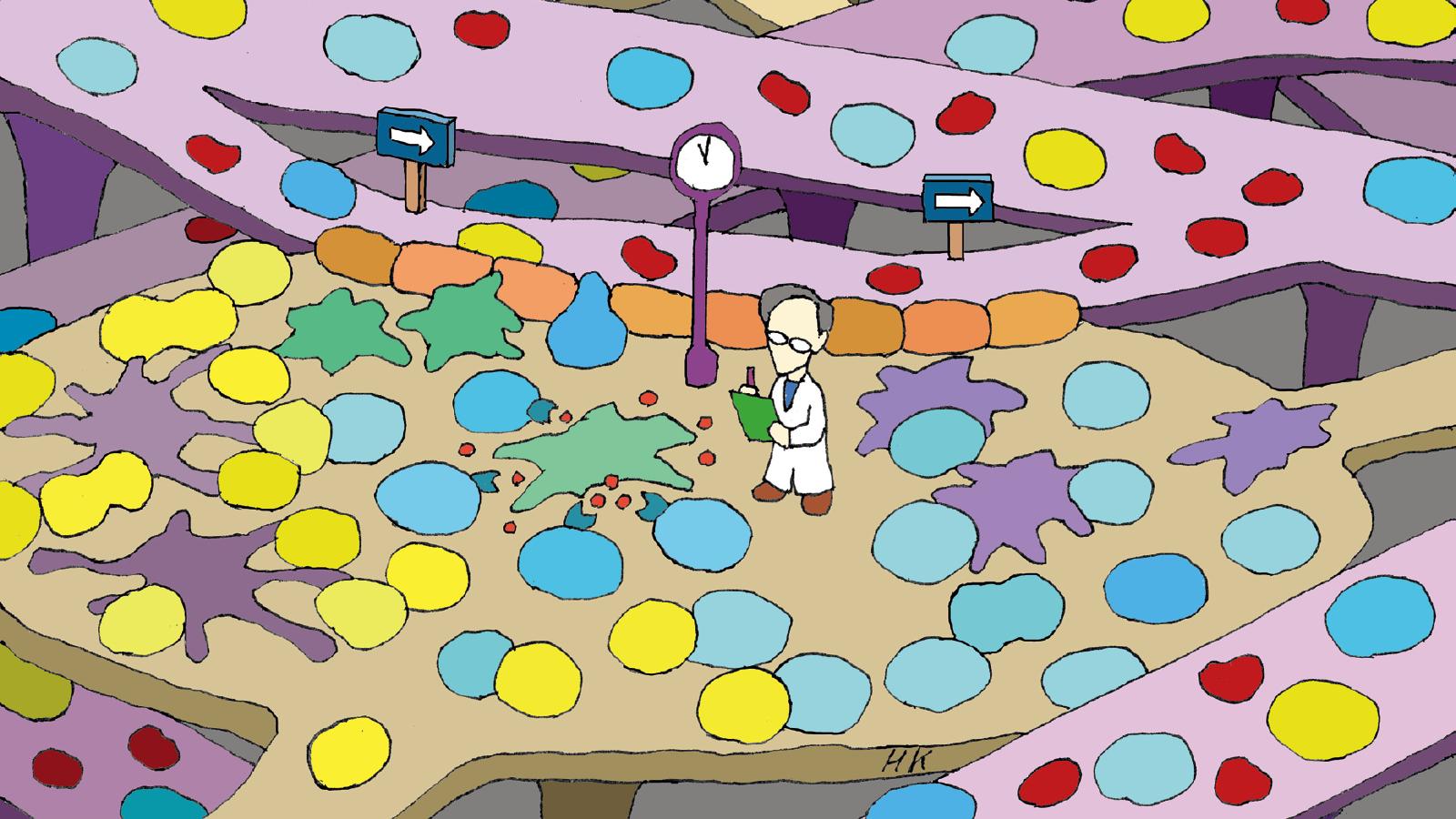 カラダの中から強くなりたい。知っておきたい免疫のこと