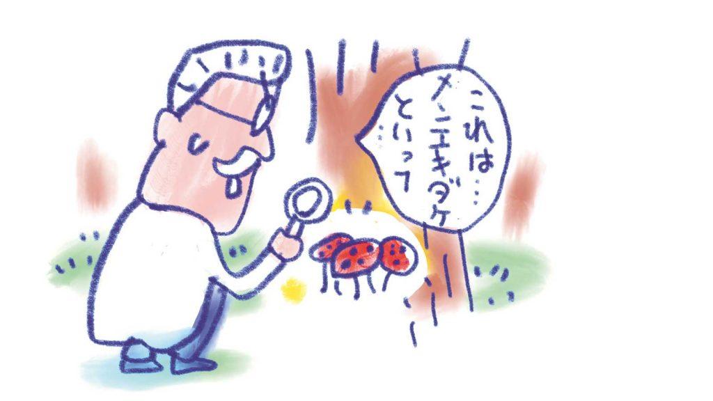 きのこなどの食べ物で免疫は上げられる？ 免疫の噂のウソ・ホントをチェック（9）