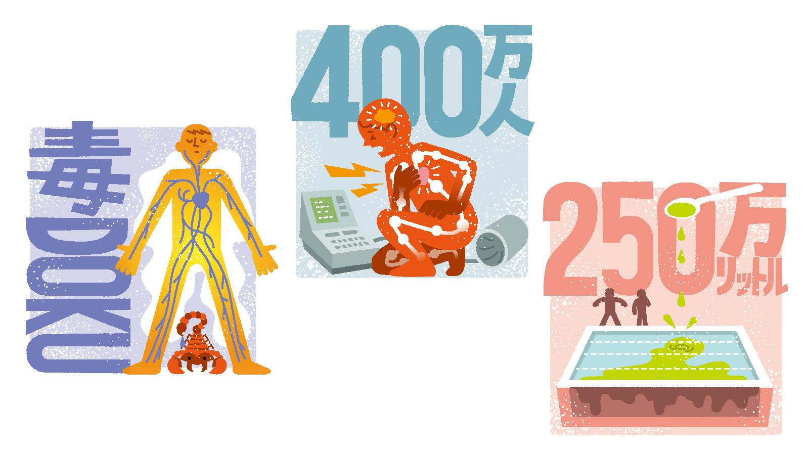 【ホルモンって何だ？】カラダ作りに欠かせない3つの威力