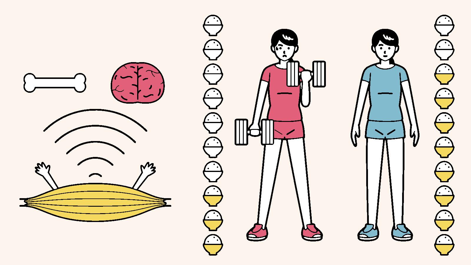 効果的な筋トレのために知っておきたい「運動ホルモン」基礎知識