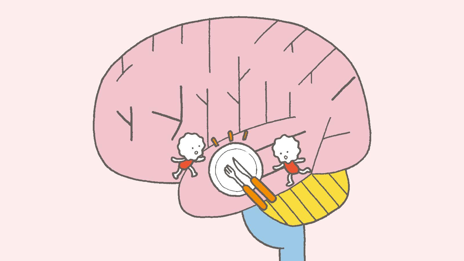 食欲をコントロールする「ホルモン」3つのメカニズム