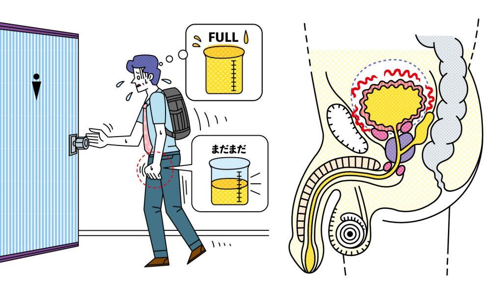 【加齢のトリセツ】トイレが近い、頻尿だ。排尿トラブル・過活動膀胱には、自助努力も効果的