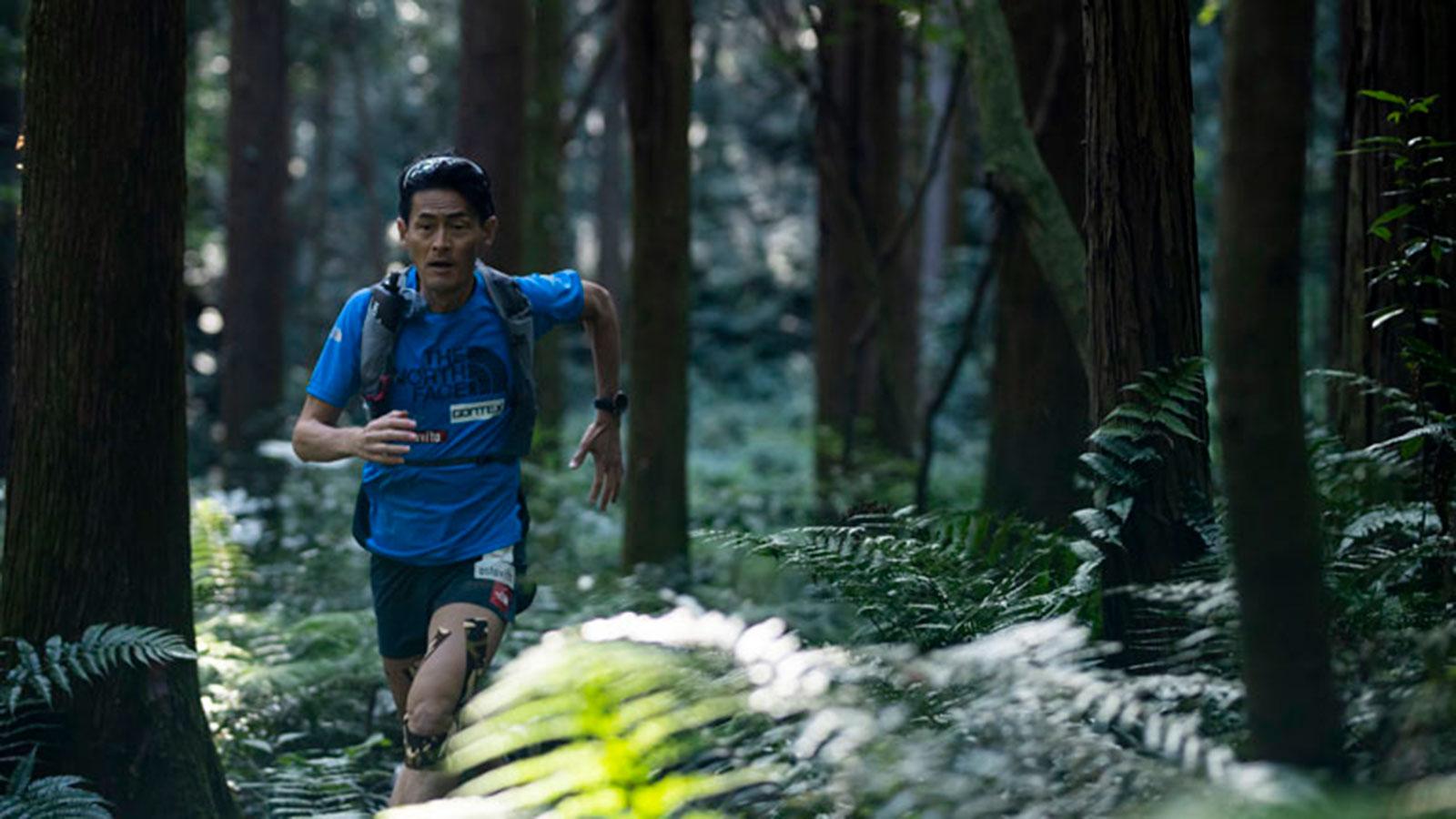 tarzan_trails_801