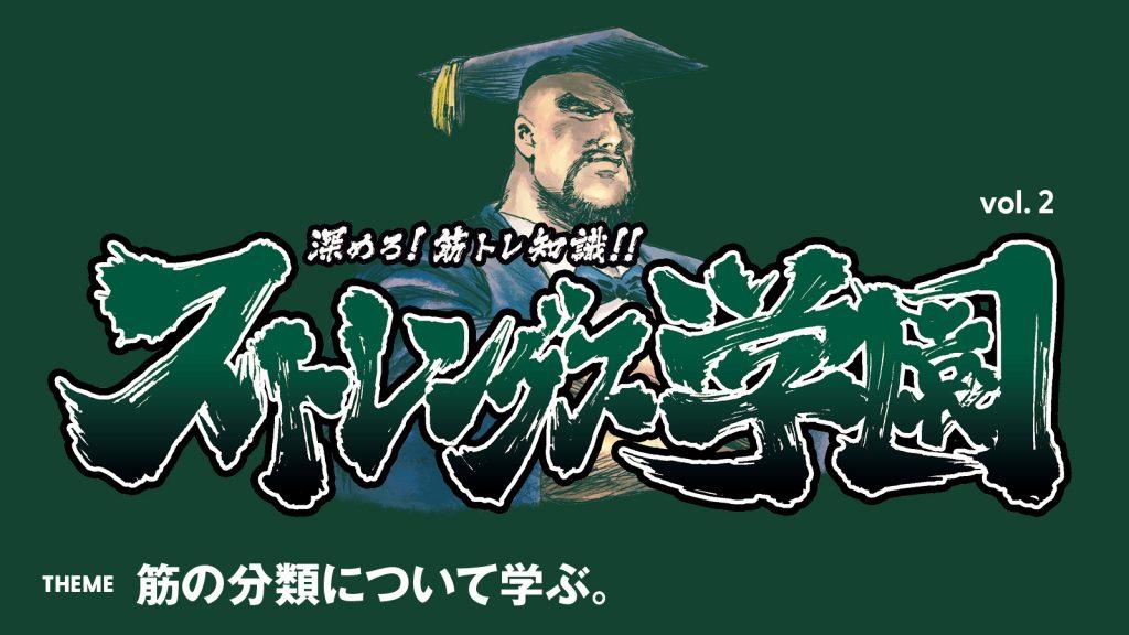 筋の分類について学ぶ：深めろ筋トレ知識!! ストレングス学園 vol.2