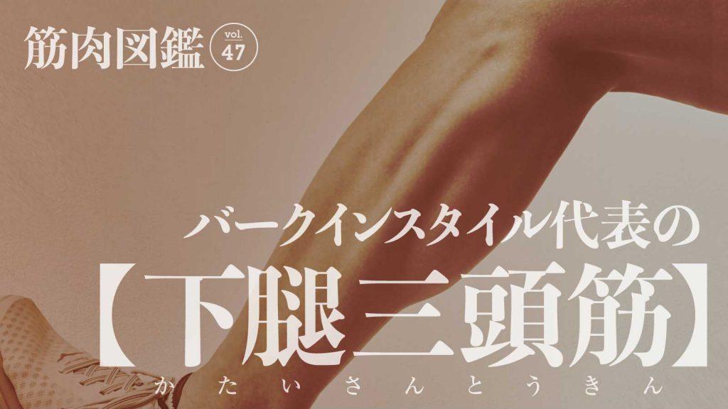 40歳で考えた。“人生80年の折り返し地点”に何の競技を始めるか。筋肉図鑑 vol.47｜左右田謙