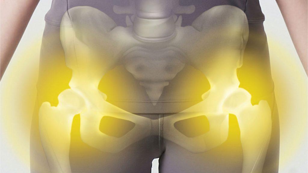 正常な「股関節の動き」とは？ 最重要関節の6方向の可動域