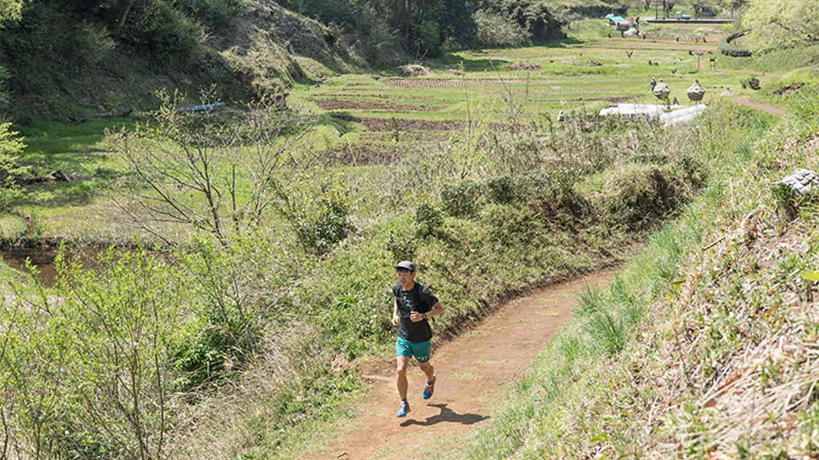 町田の里山