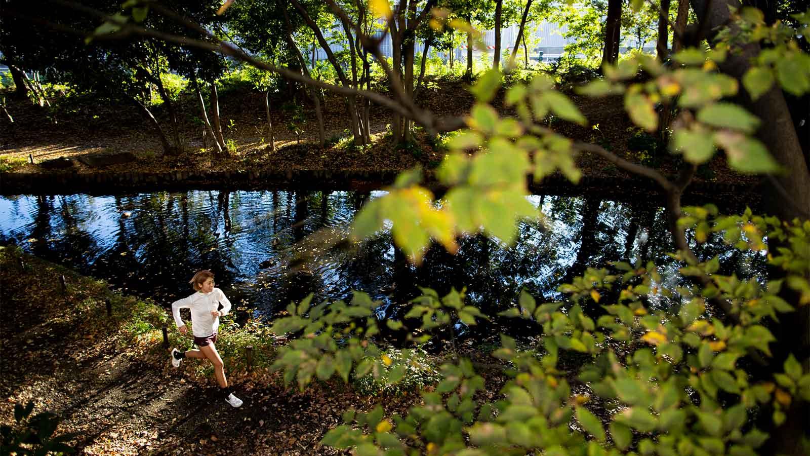雑誌連載 Tarzan Trails 東京・品川［緑道公園］トレイル GPSデータ（827号）