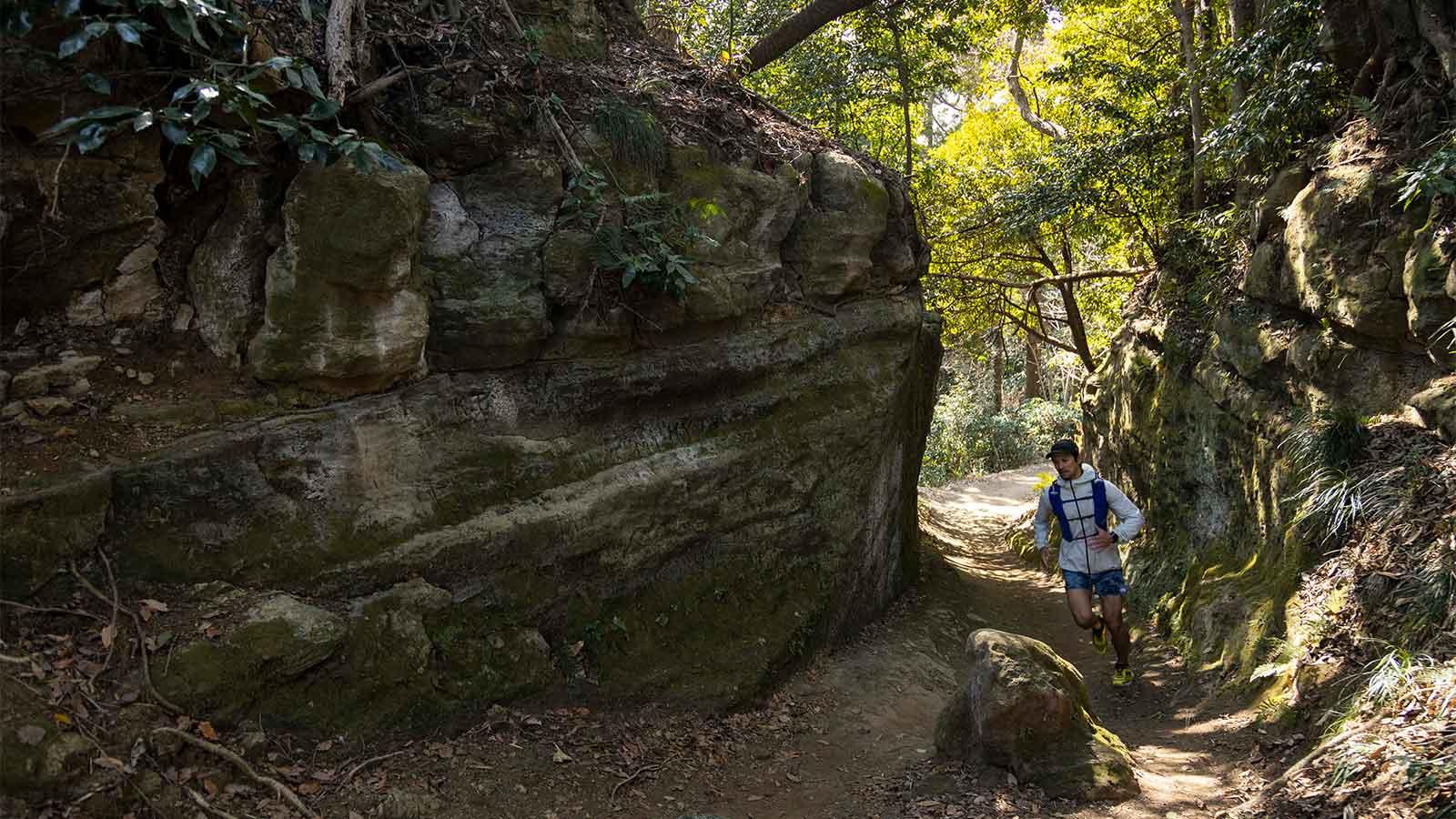 鎌倉・海軍トレイル Tarzan/ターザン