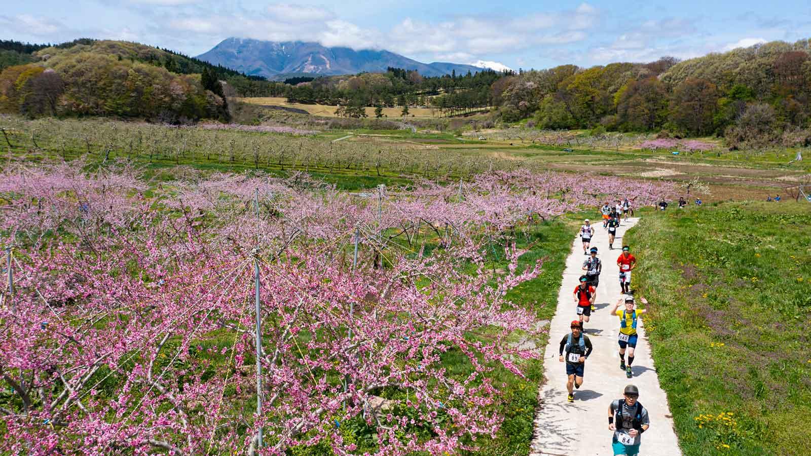 雑誌連載 Tarzan Trails 長野県［いいづな］トレイル GPSデータ（838号）