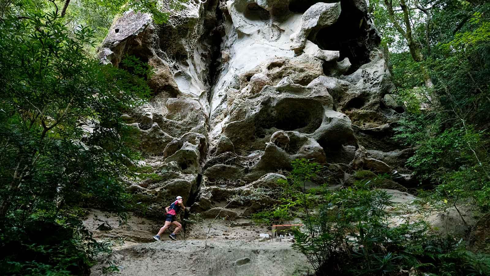 雑誌連載 Tarzan Trails 宮崎県［鏡洲の森］トレイル GPSデータ（850号）