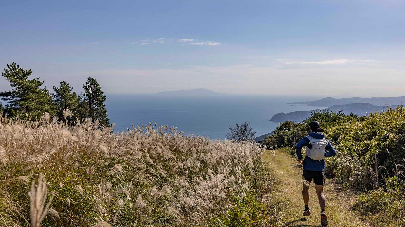 雑誌連載 Tarzan Trails 静岡県［日金山］トレイル GPSデータ（878号）