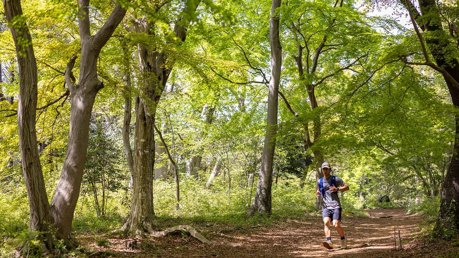 ウチサカさんのトレイル案内。神奈川県［城山湖］