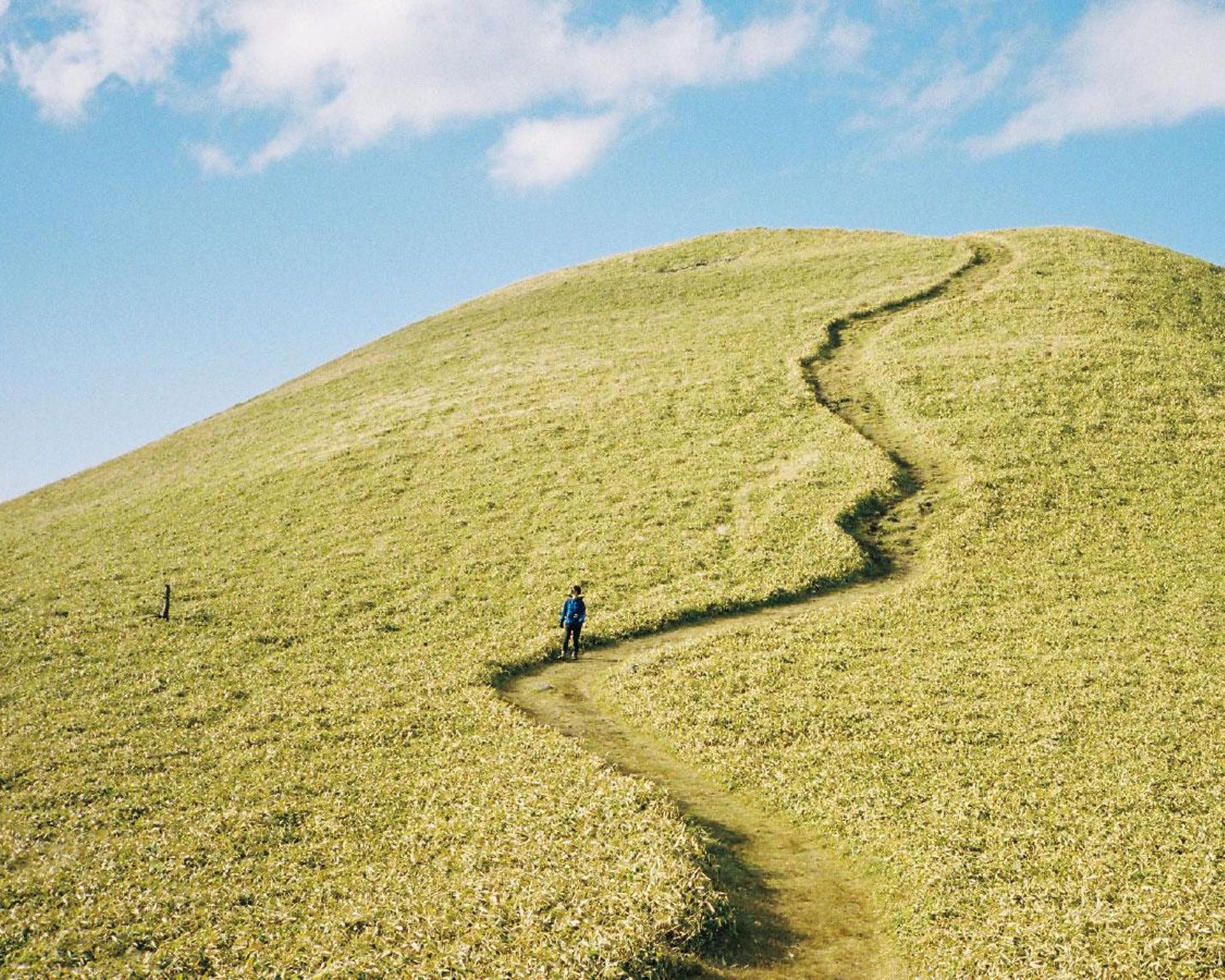きっと歩きたくなる。自然歩きのプロが選んだ8つの道