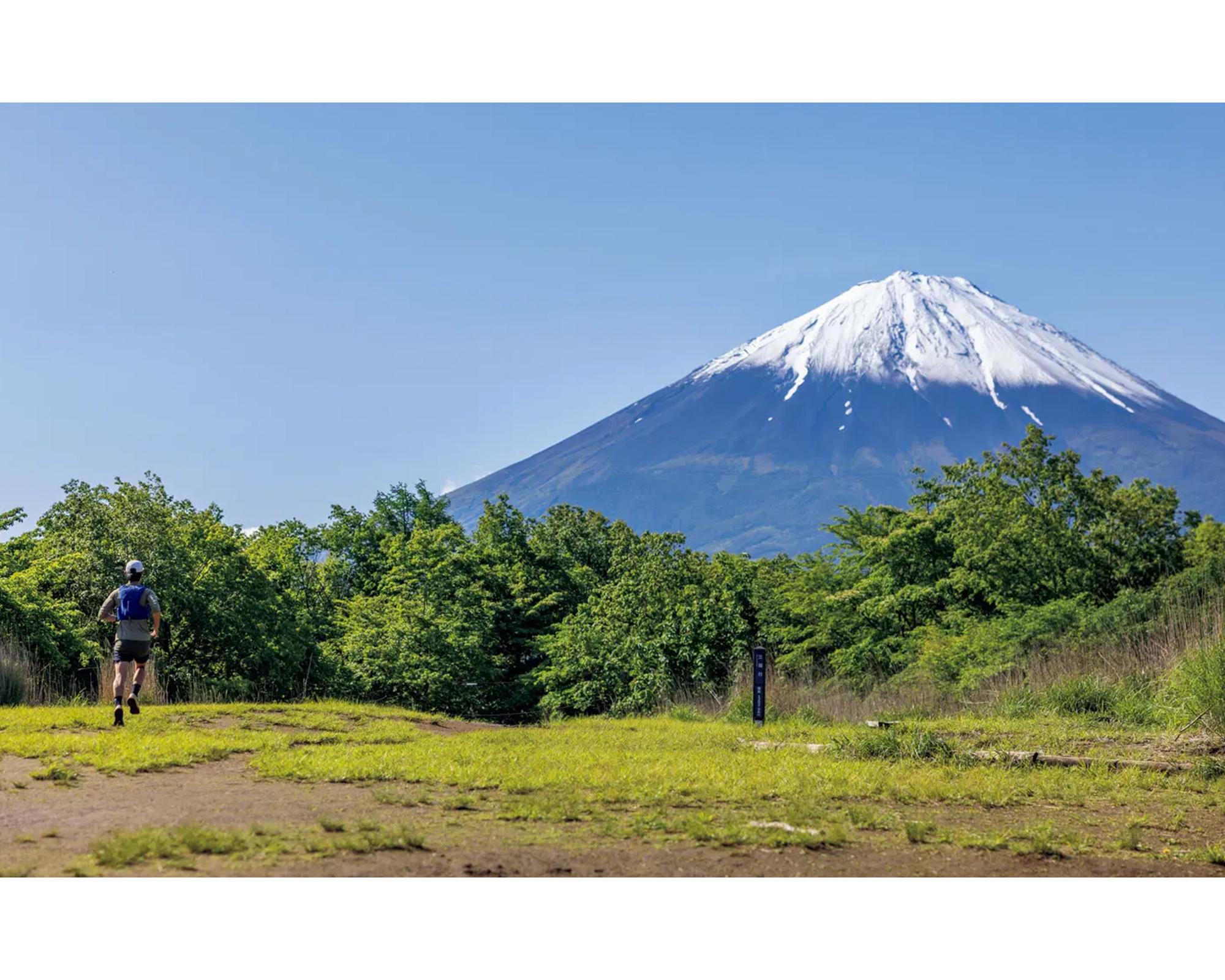 ウチサカさんのトレイル案内。山梨県［富士山樹海］