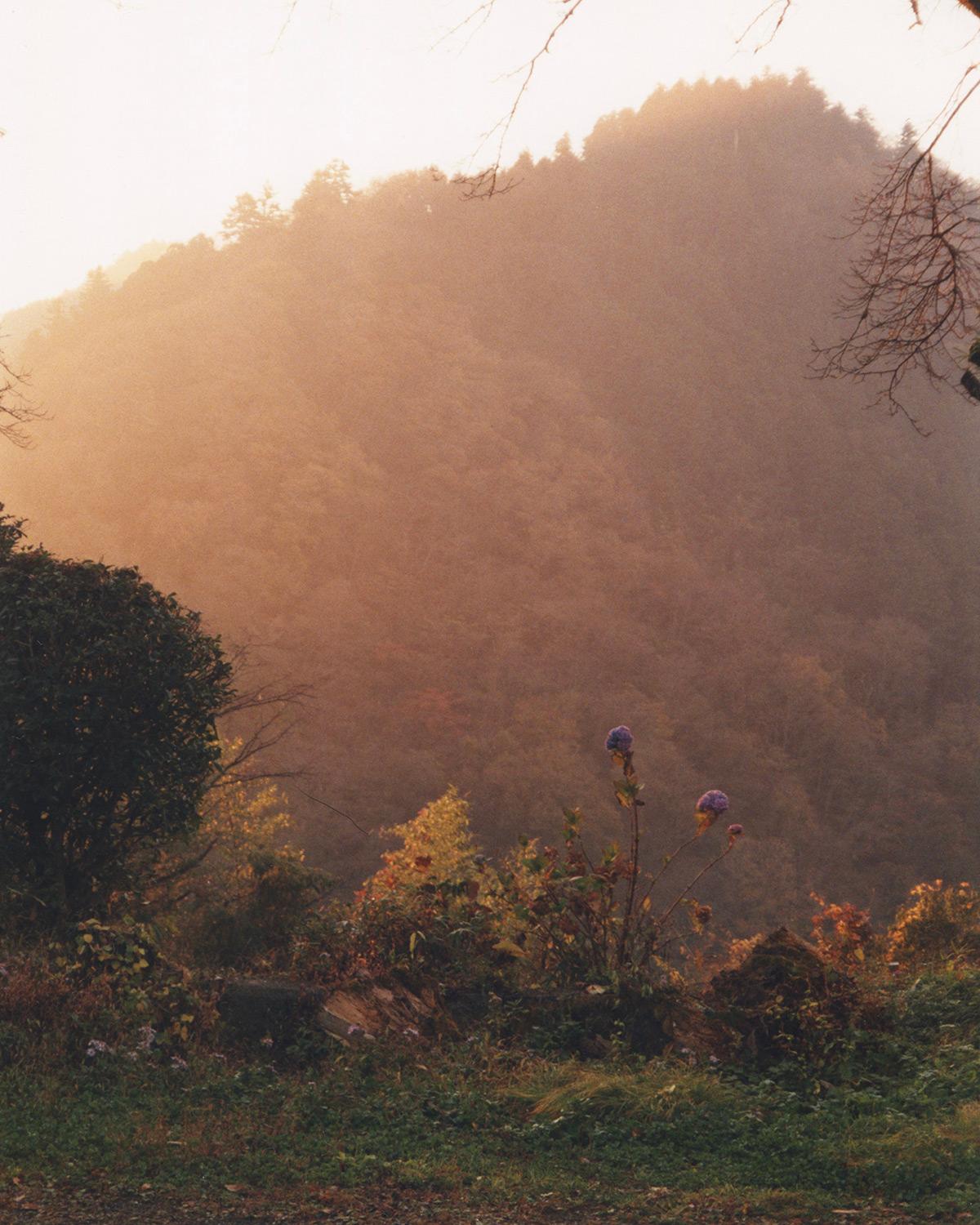 生きるための山行｜A Small Essay