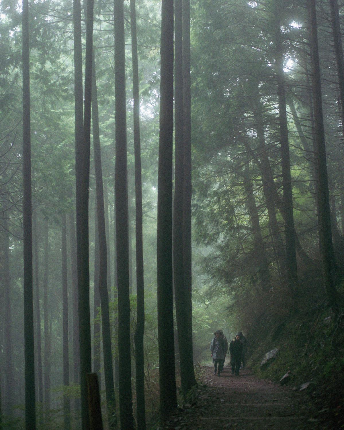 1年の締めくくりは、植物の生命力を感じる御岳山でお礼参りを。｜12月の山・御岳山