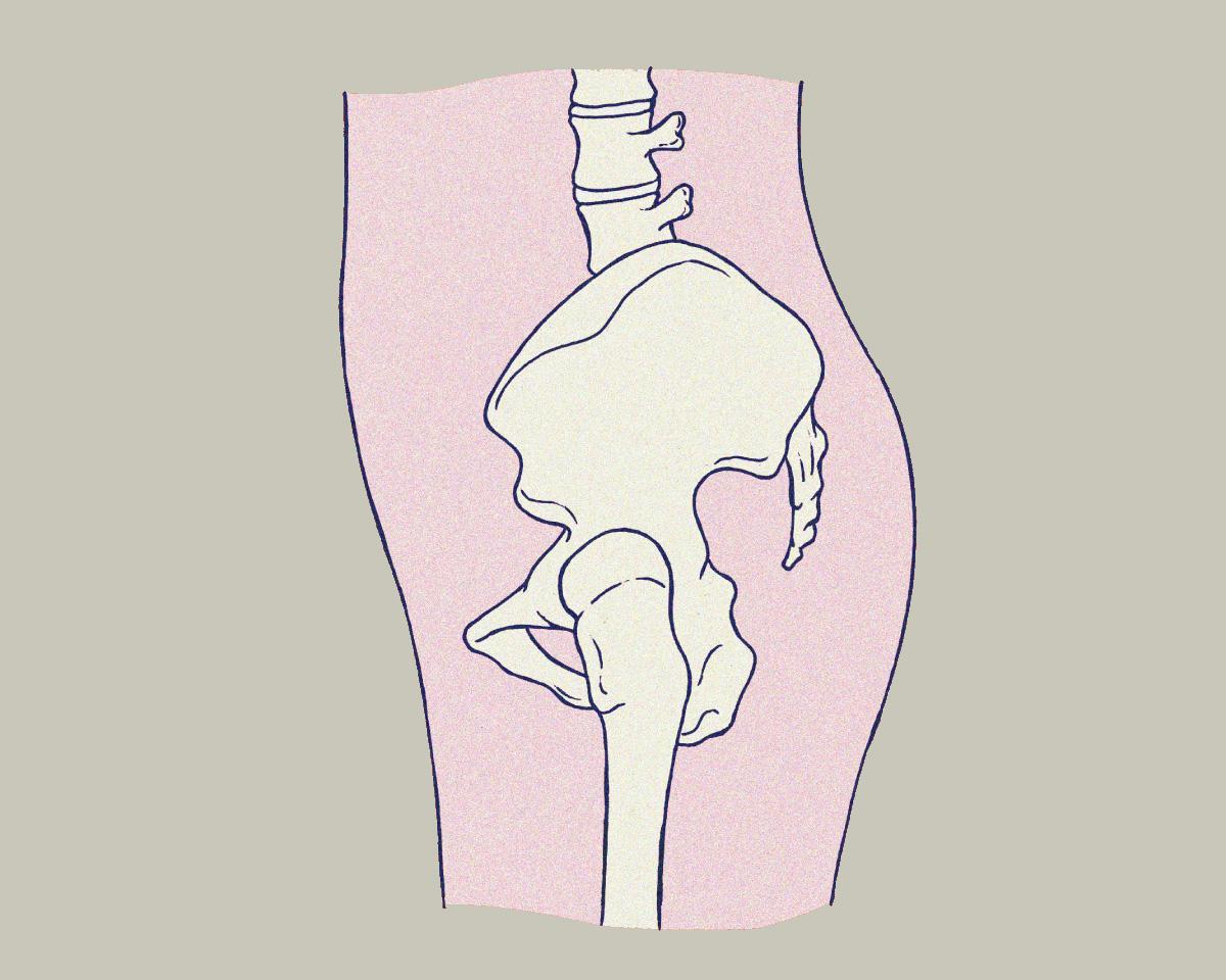 骨盤を「立てる」ってどういう状態？7つの疑問から骨盤の基礎知識を学ぶ。