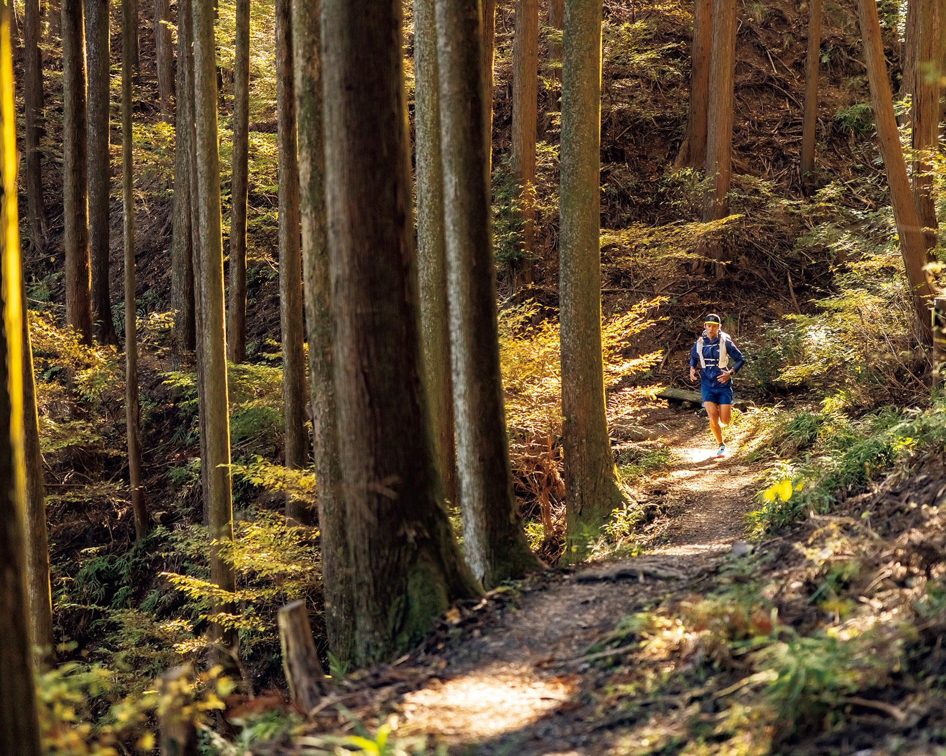 ウチサカさんのトレイル案内。東京都［青梅丘陵。］