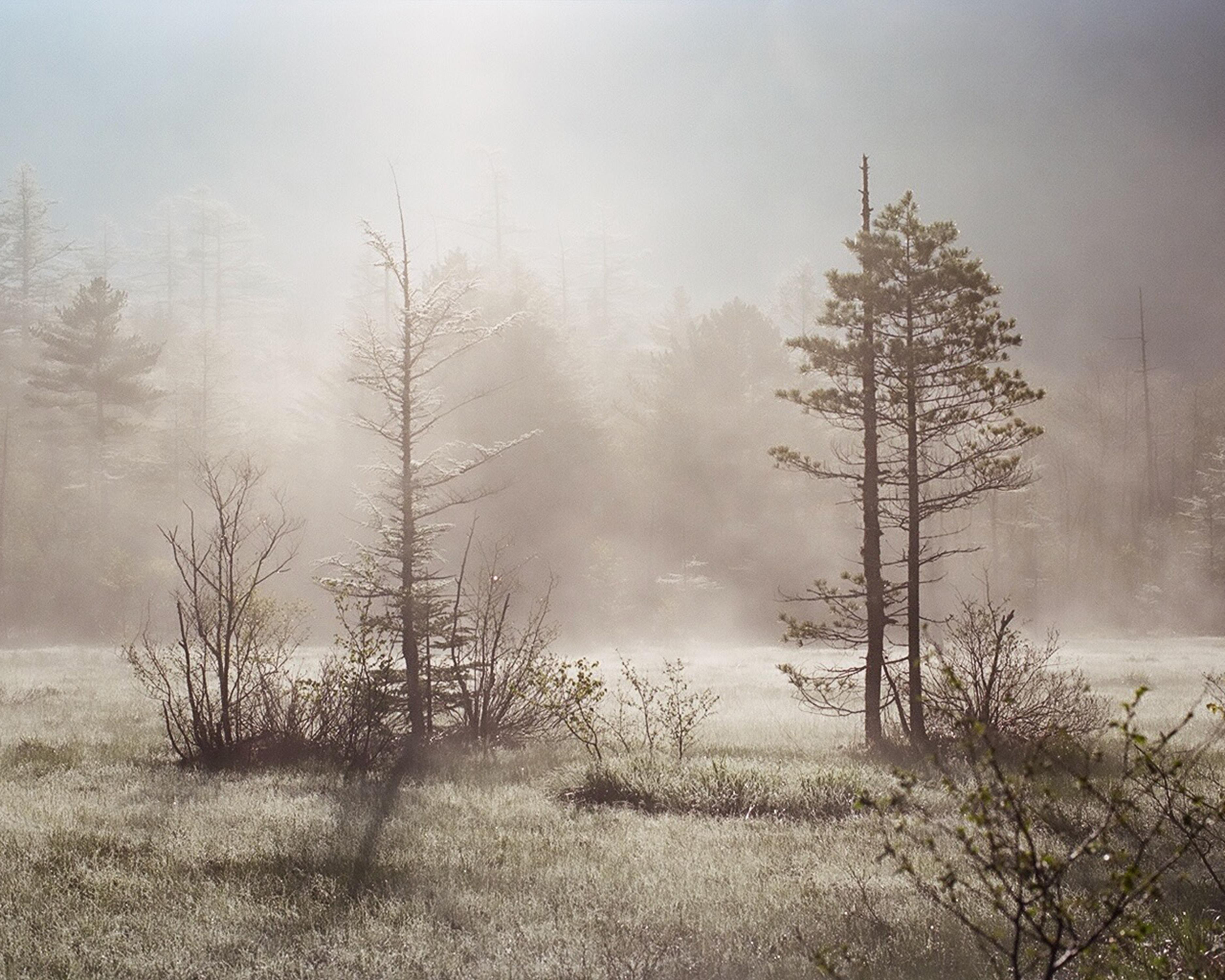landscape_pattern1