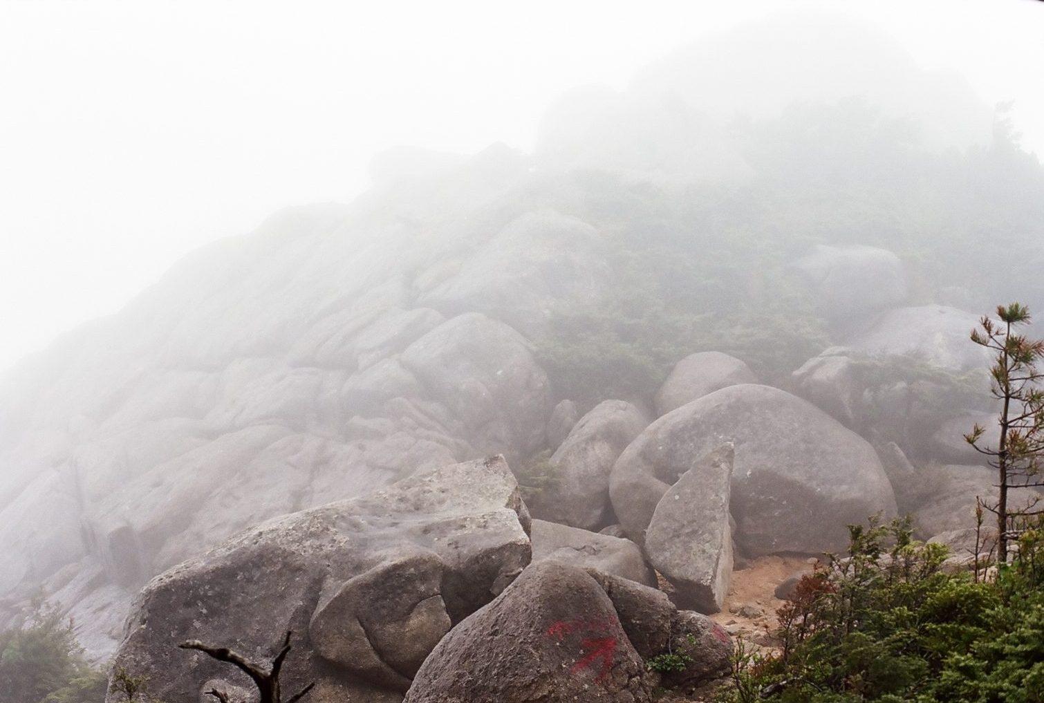 landscape_pattern4