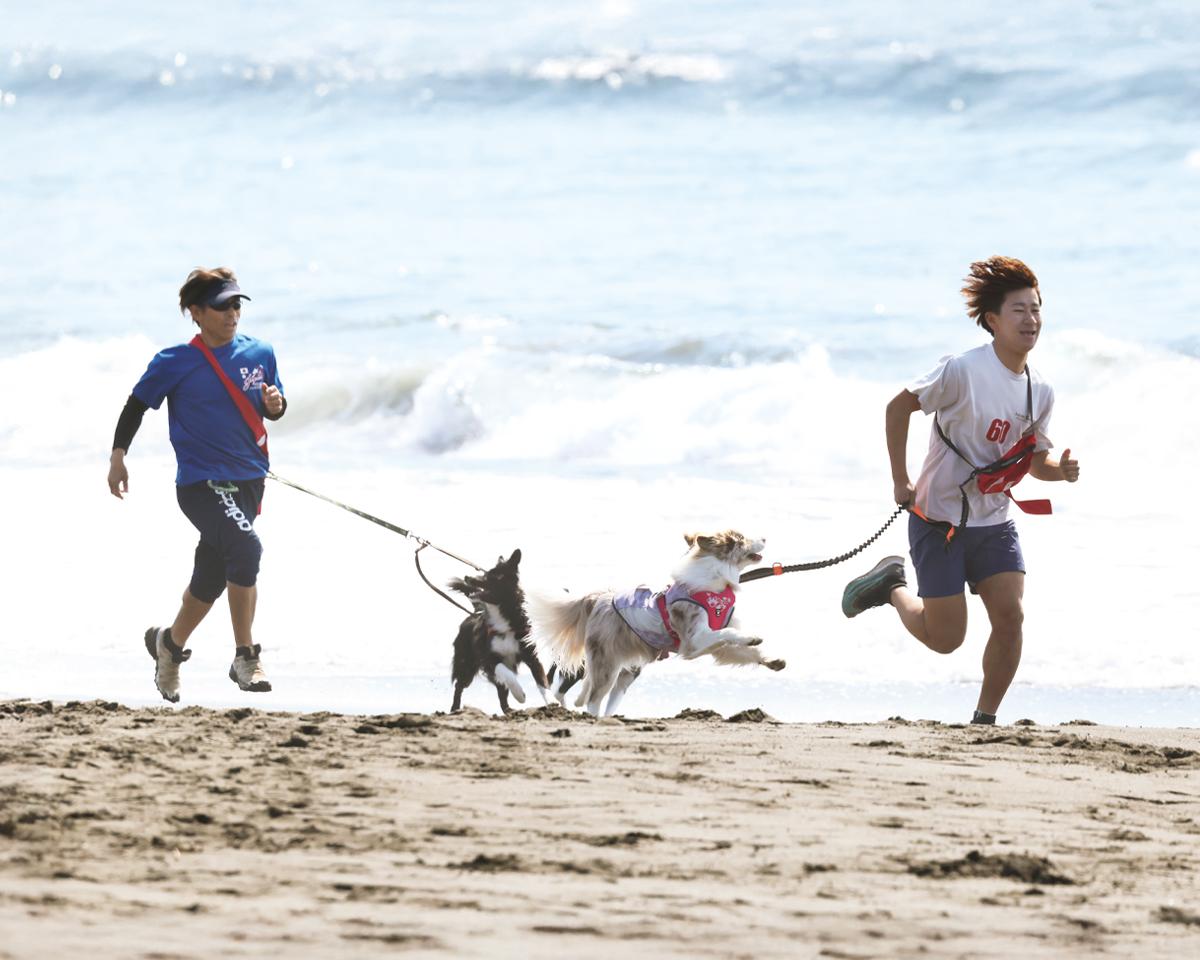 愛犬と走る新スポーツ・カニクロスで、絆もカラダも鍛えよう！