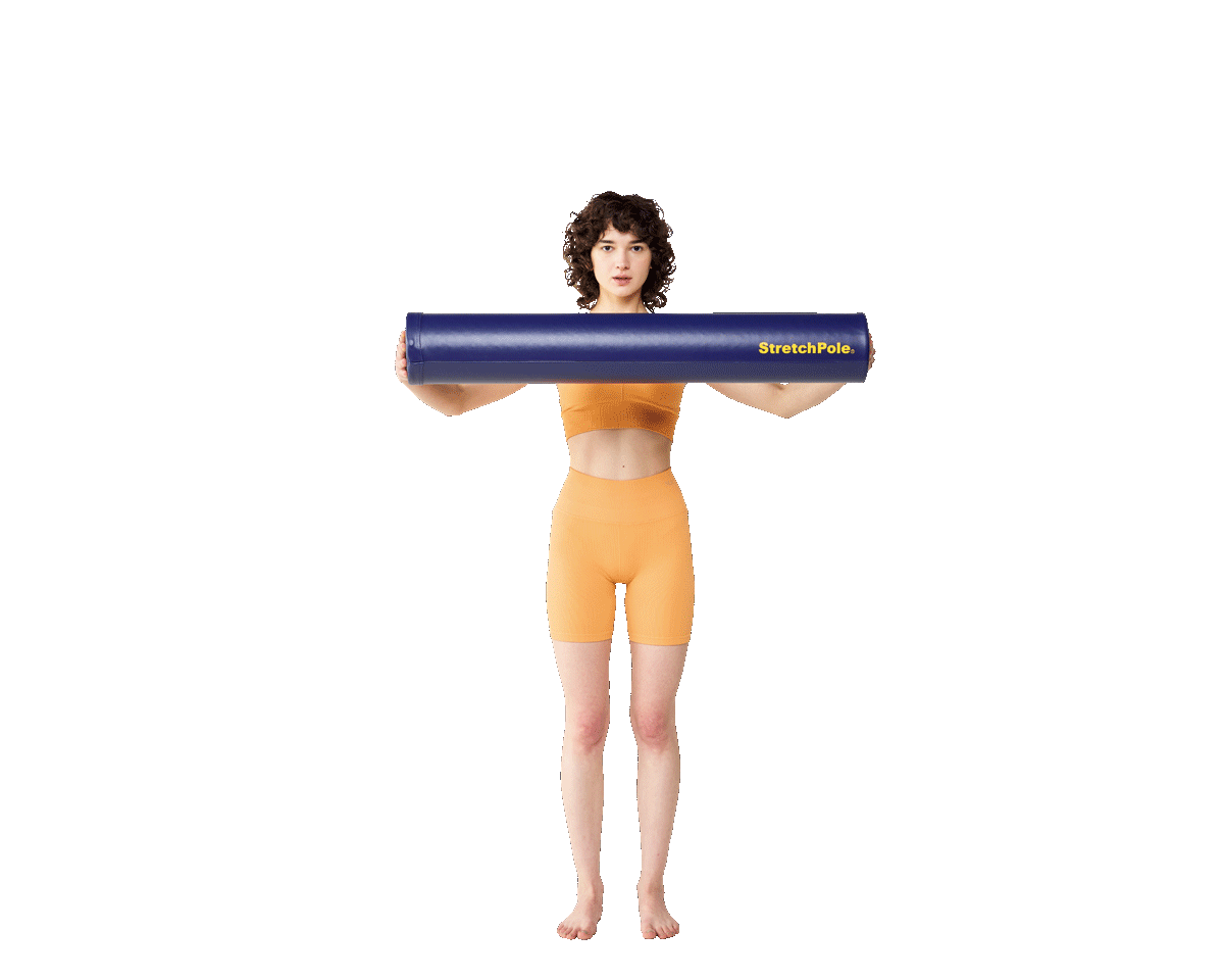 フォームローラー　ダイナミック系