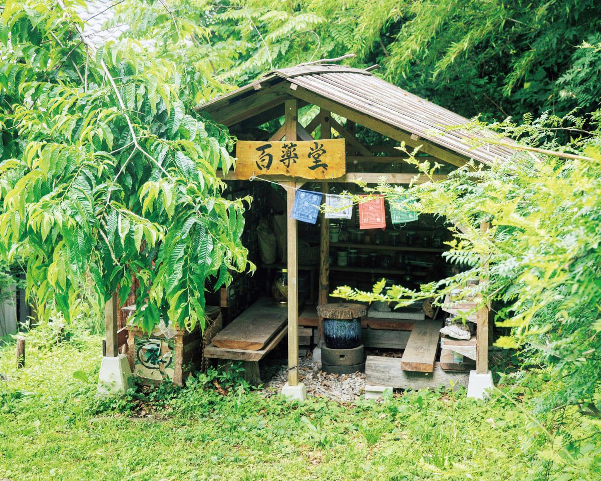 薬草ワークショップ