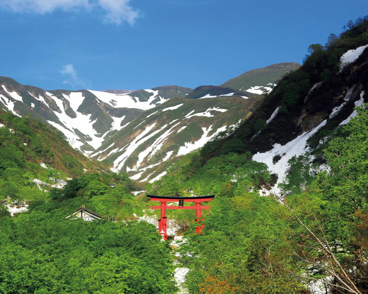 癒しと元気をくれる旅先