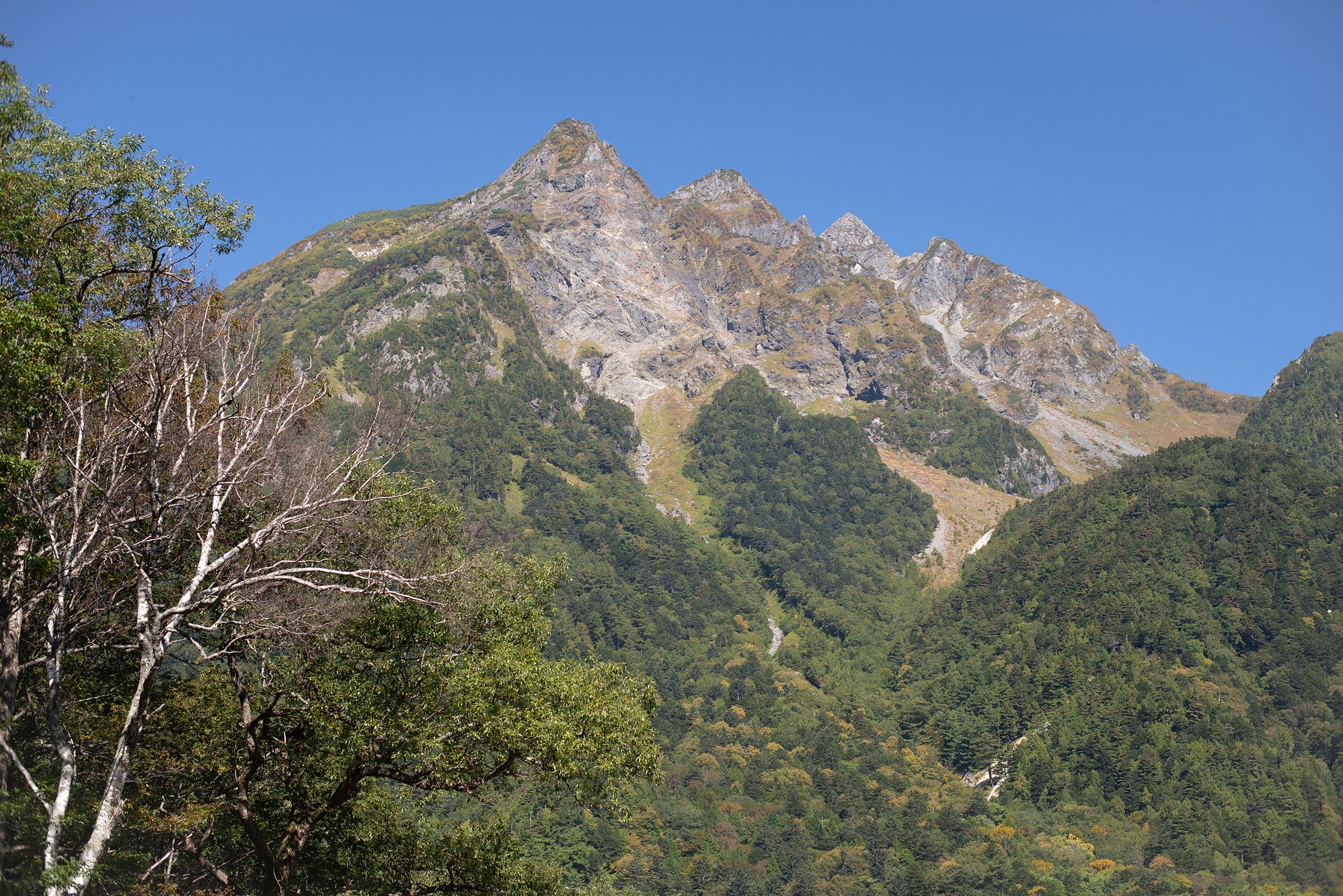 landscape_pattern1