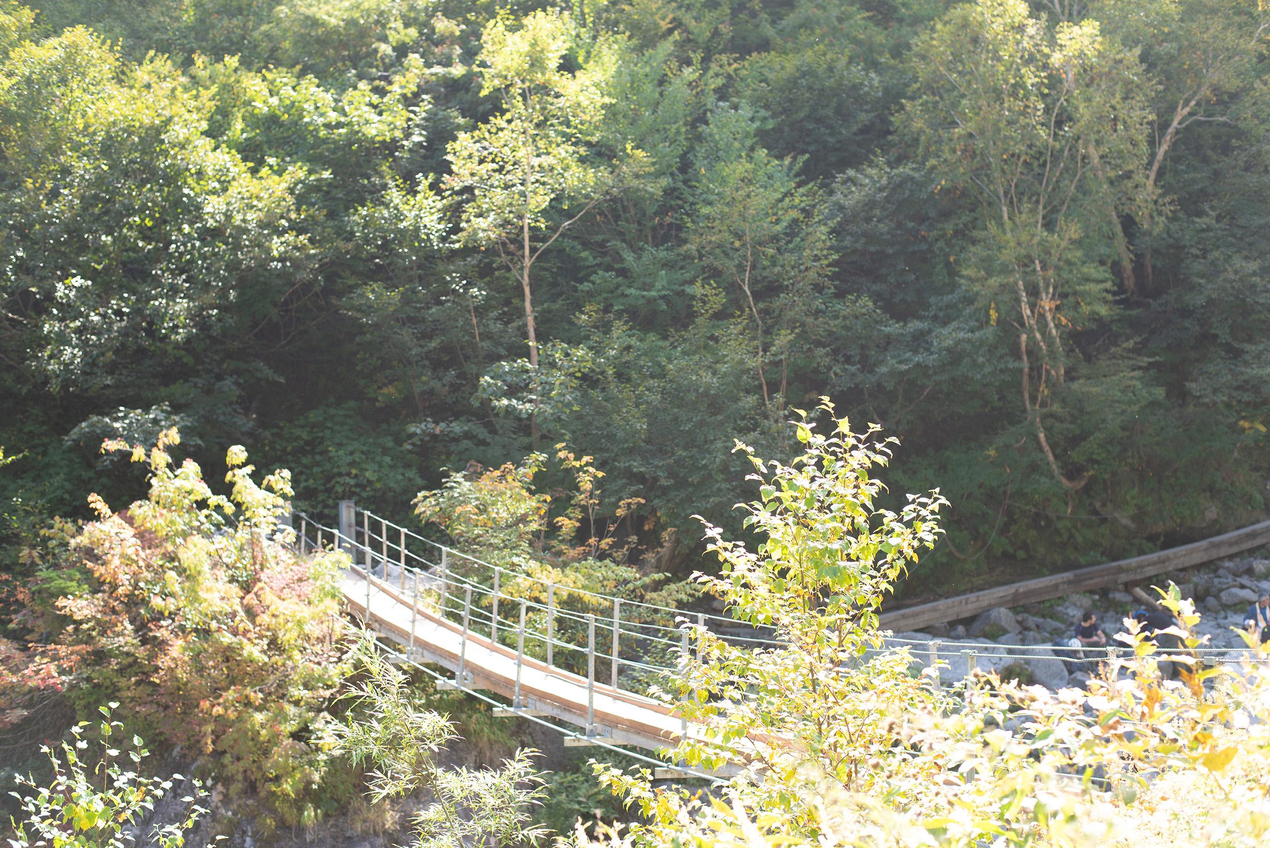 landscape_pattern5