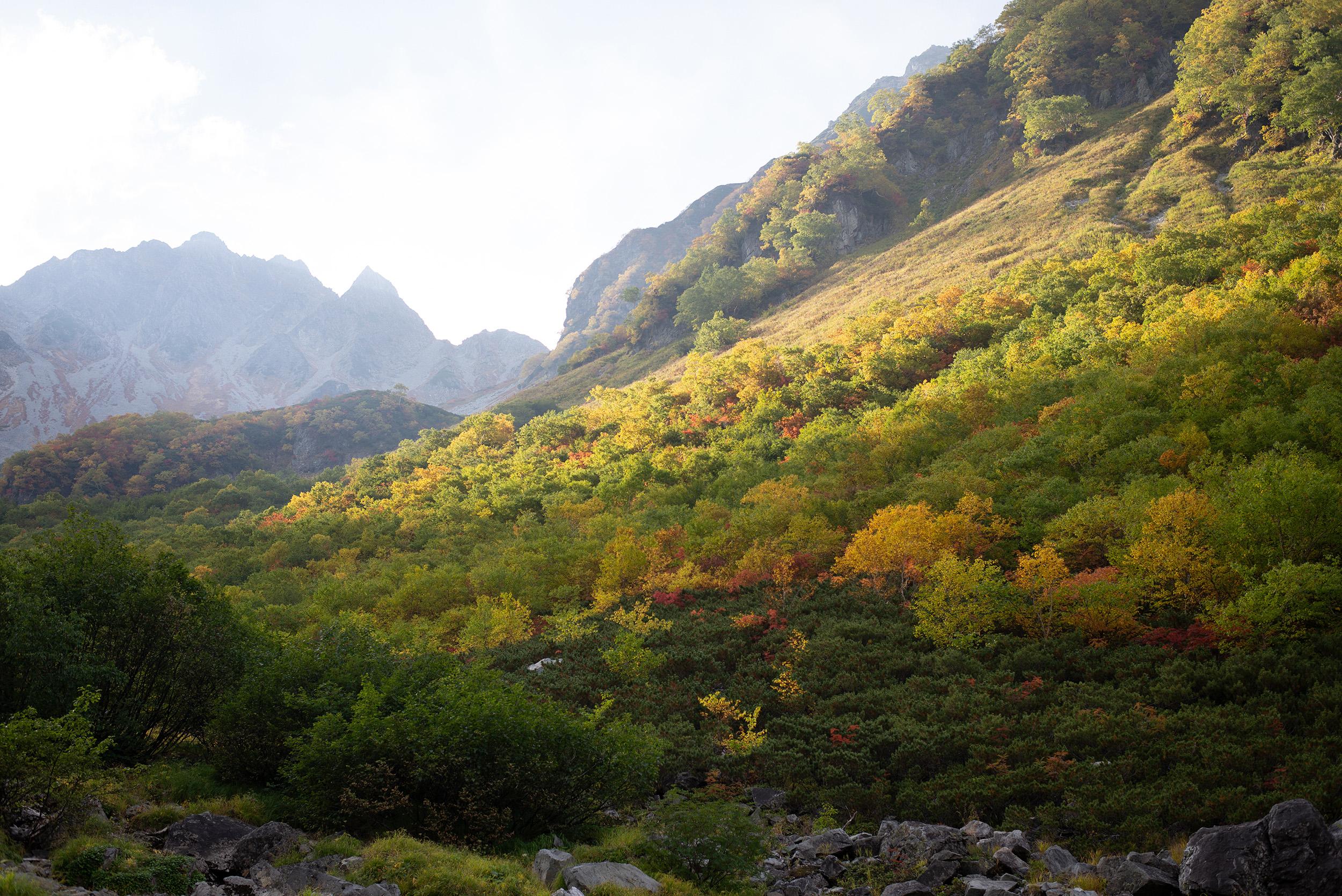 landscape_pattern1
