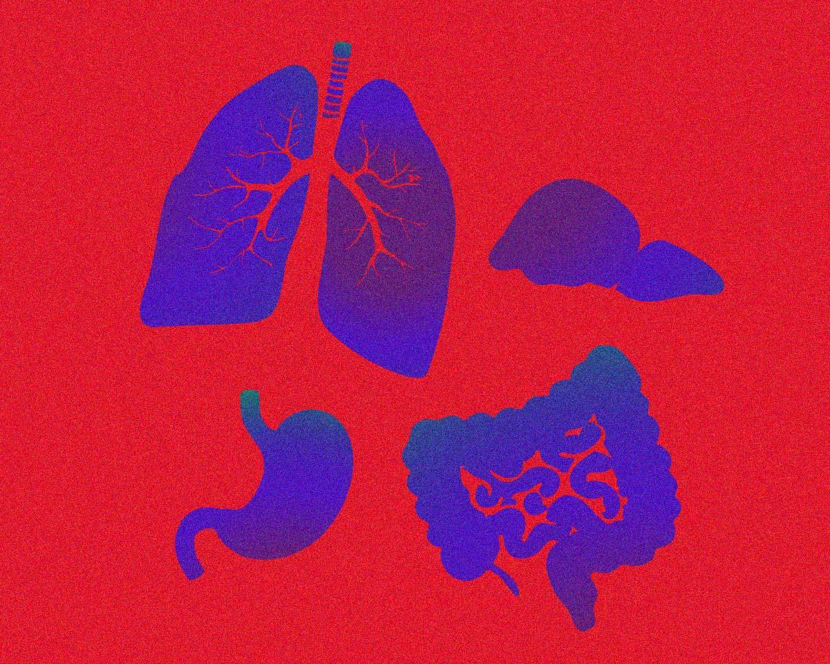 内臓疲労ってどういう状態？ カラダのサインに気づくためのQ&A。