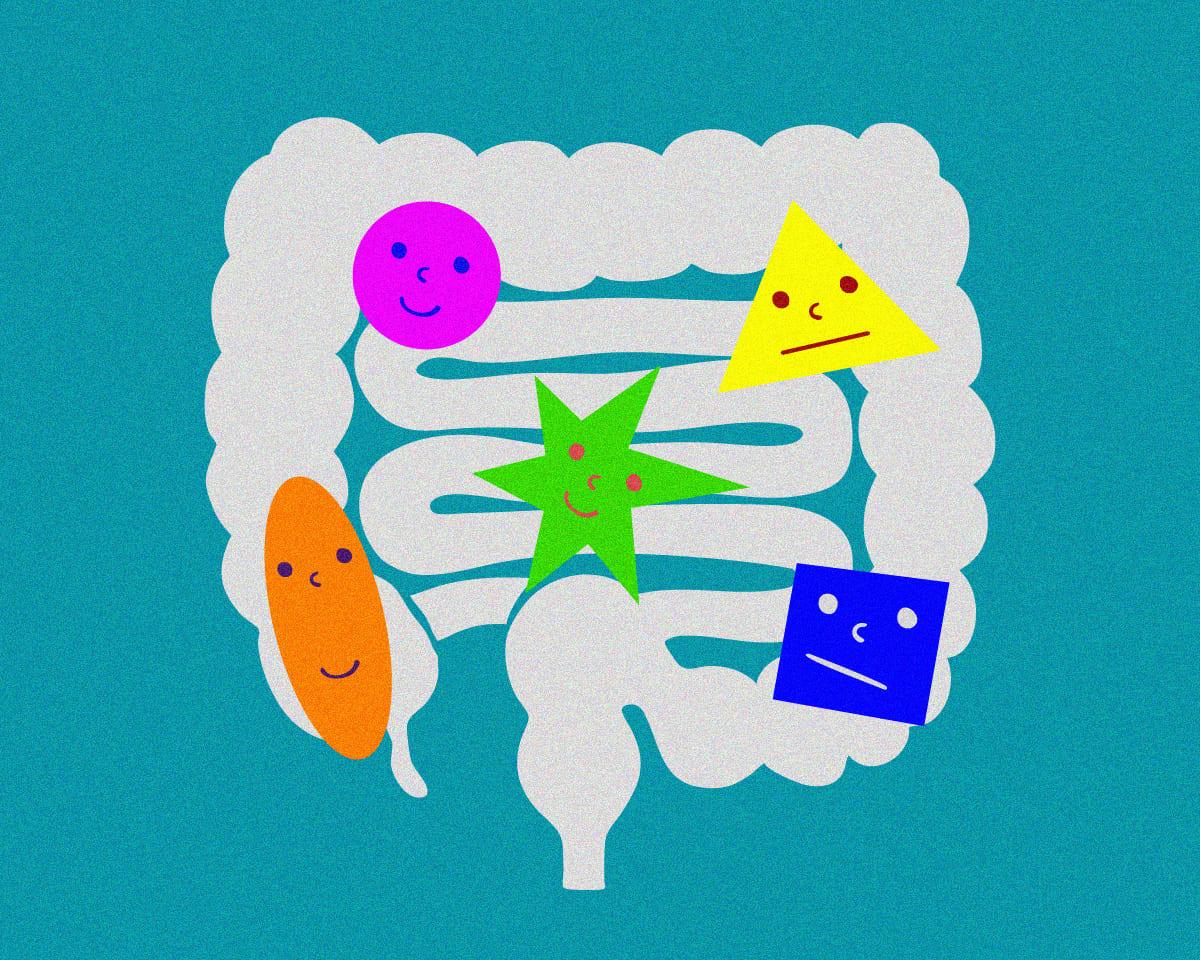 枯れた“おなか”に潤いを！腸内細菌を豊かにする方法。