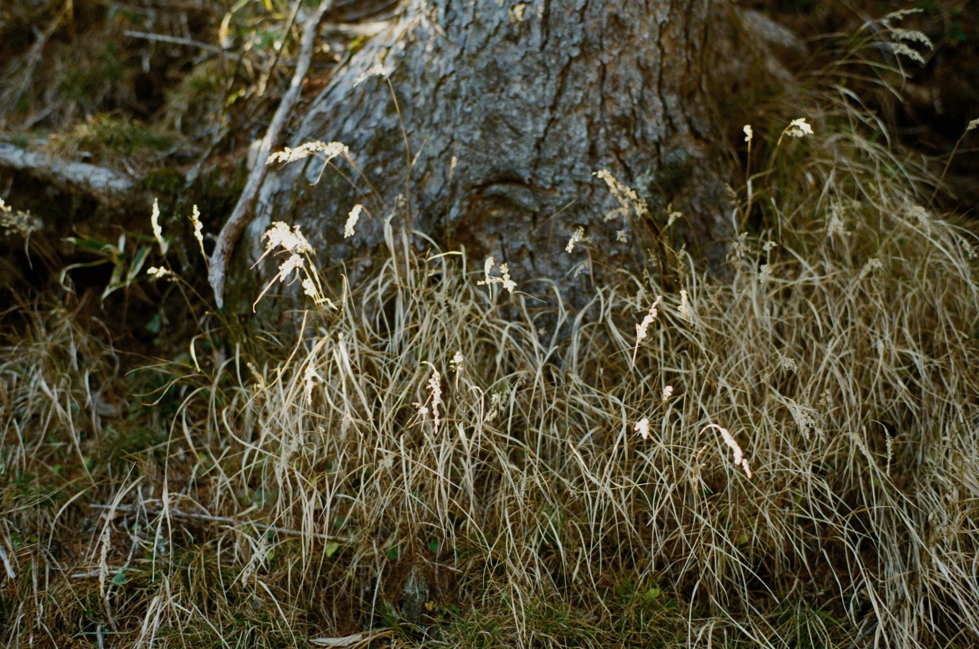 landscape_pattern4