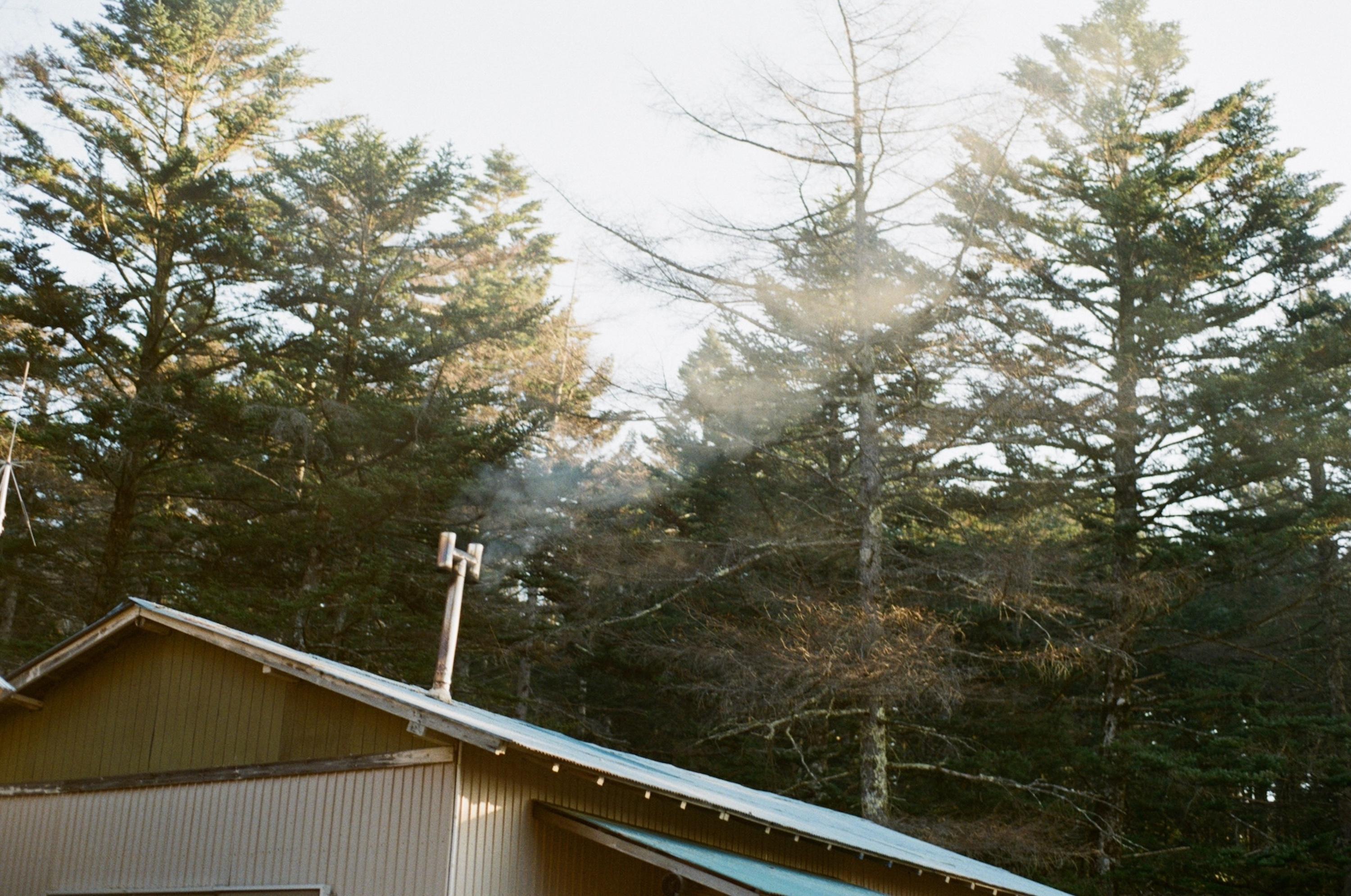 landscape_pattern2