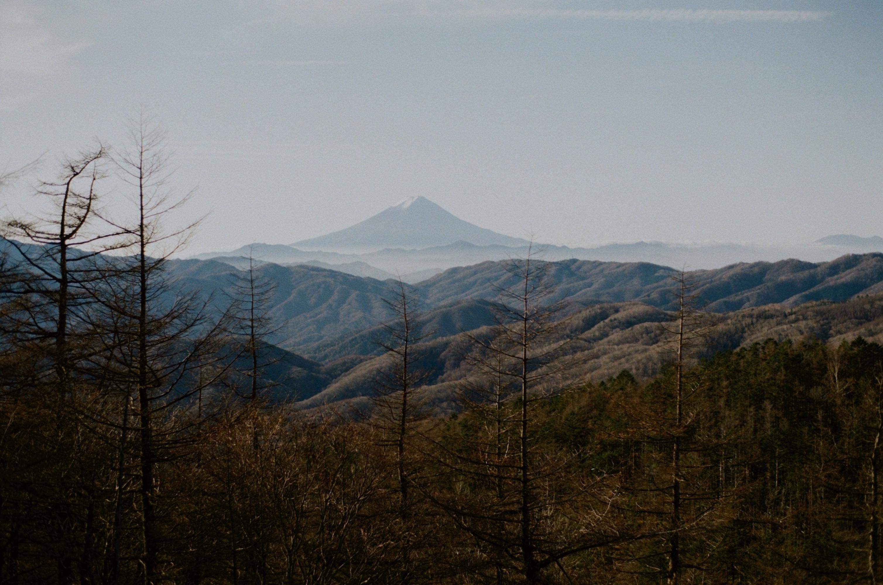 landscape_pattern1