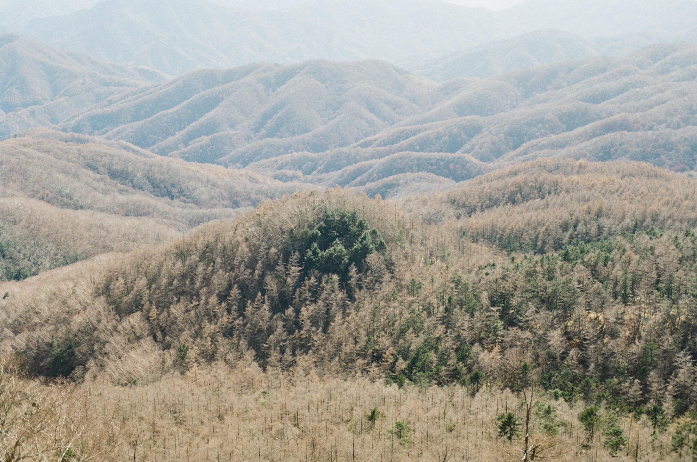 landscape_pattern8